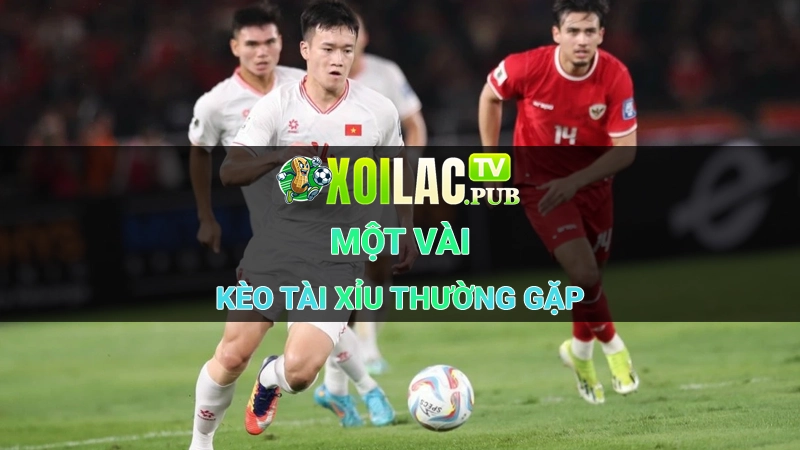 Xôi lạc TV